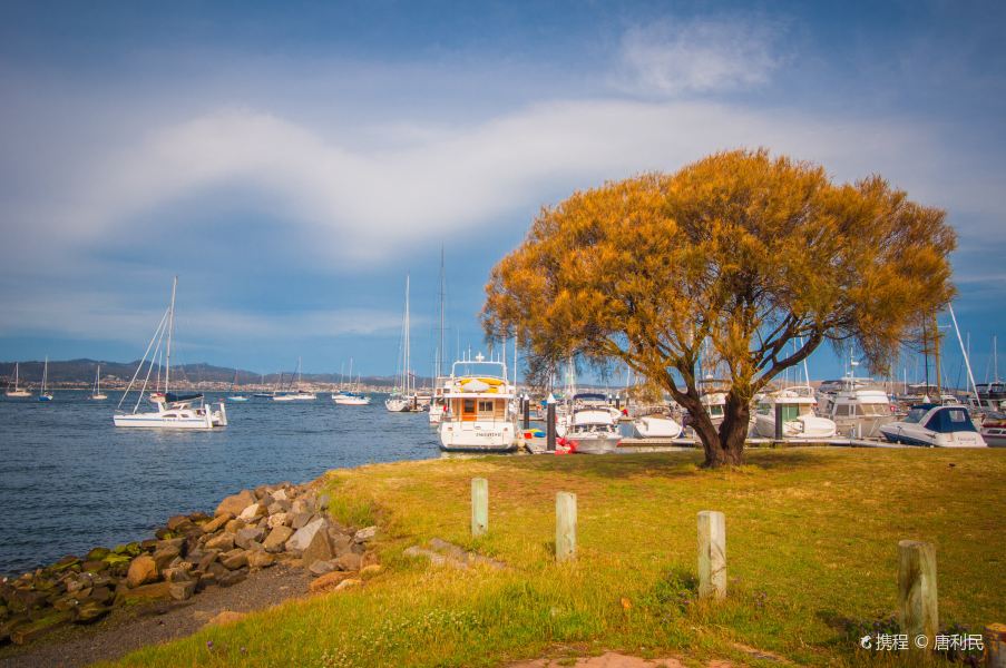 Whyalla to Hobart Flights