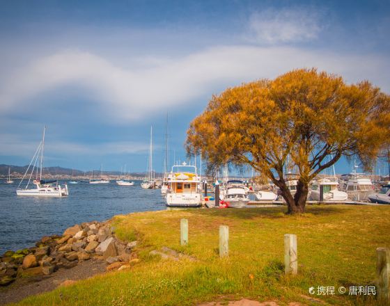 荷巴特 自由行套票