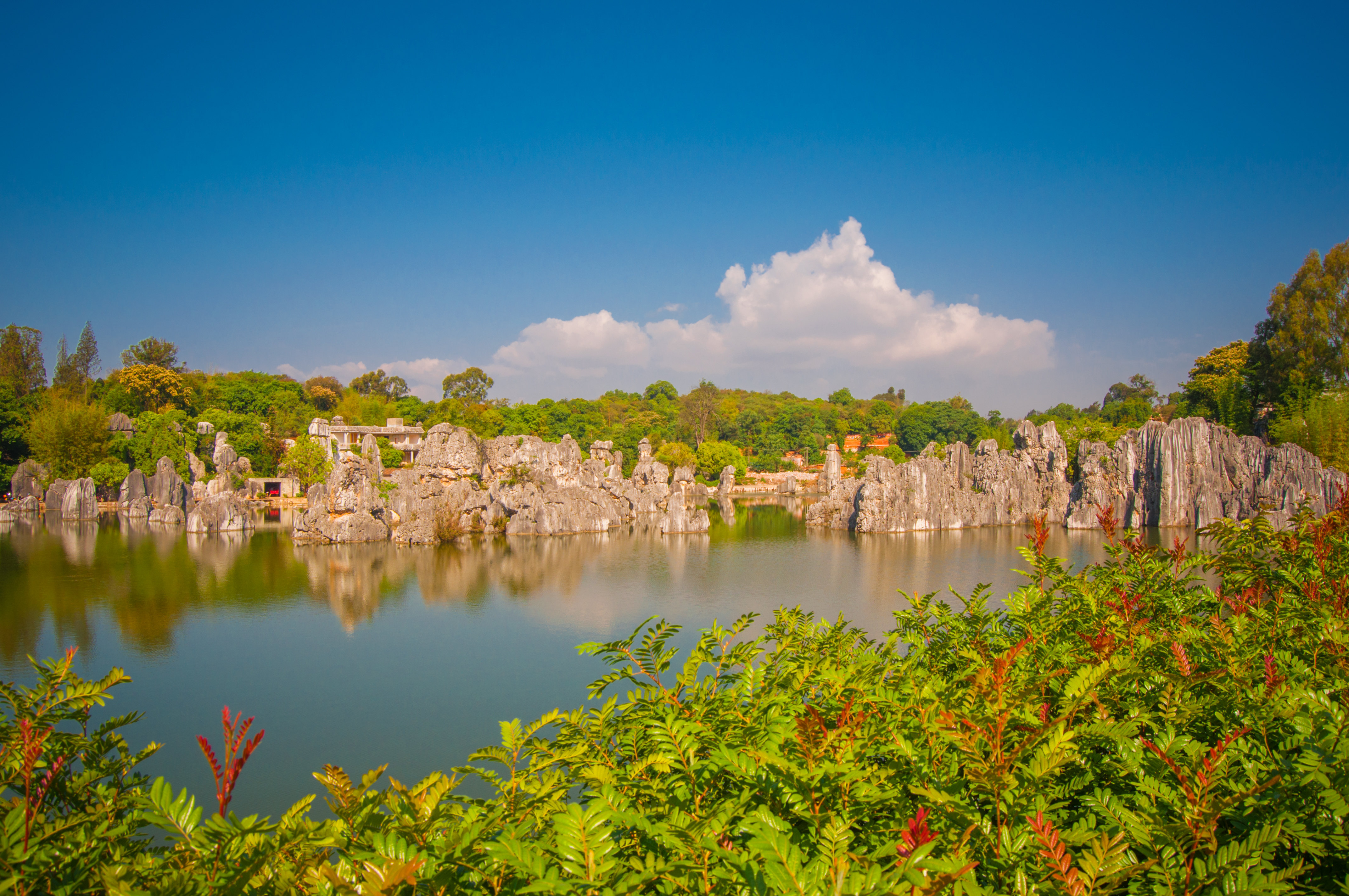 Stone Forest Scenic Area