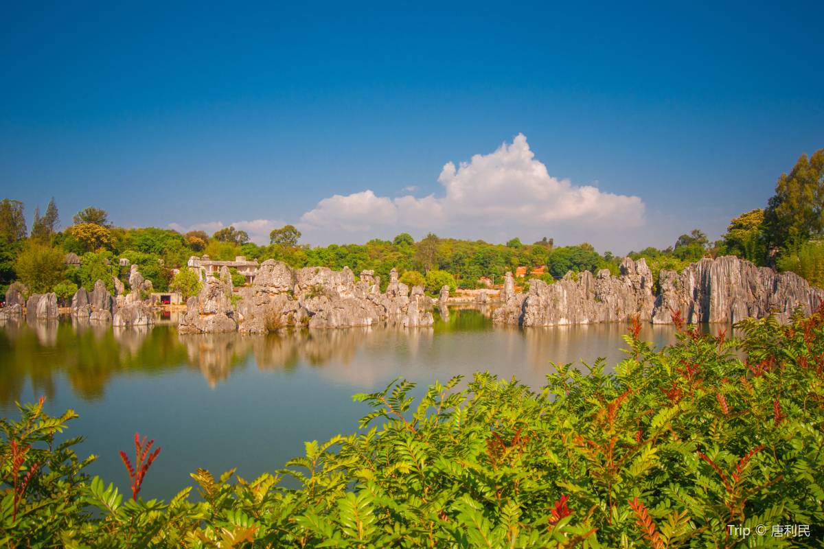 Stone Forest (Shilin)