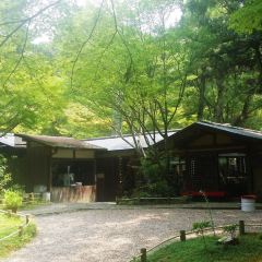 Kasuga Ninai Jyaya User Photo