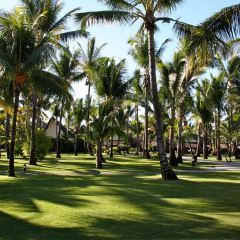 Domaine Anna ảnh của người dùng