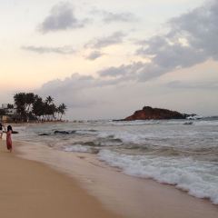 Mirissa Eye ảnh của người dùng