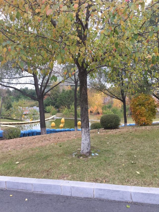 창춘영화성