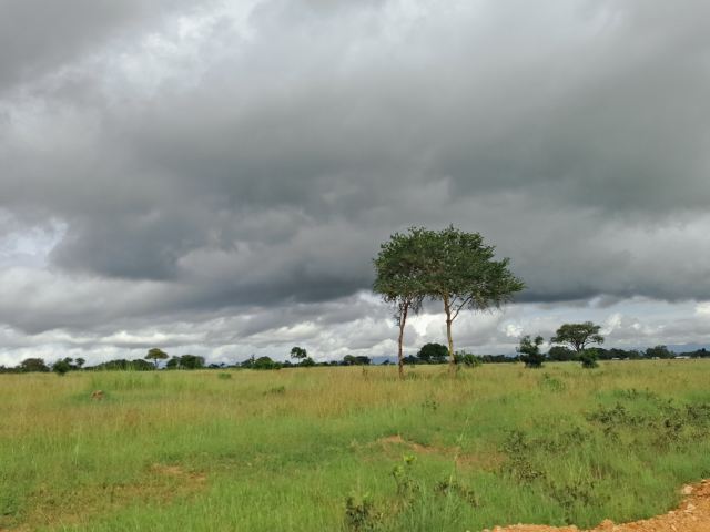 Mikumi National Park