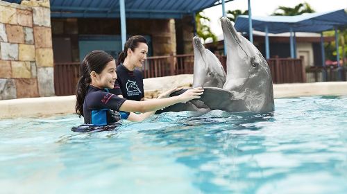 海豚園