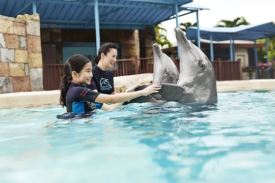 4_Marine Mammal Habitat