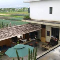 Green Field Kitchen User Photo