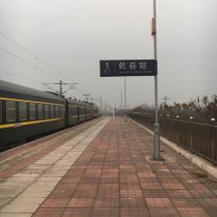 CHEN JI LAO LAO ZI HAO DOU FU NAO User Photo