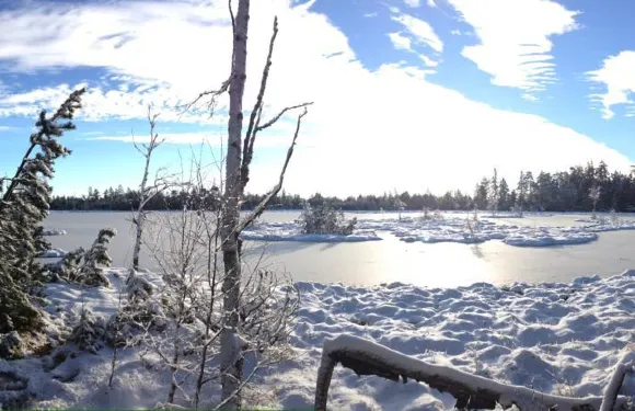 施密德洛佩茲旅館