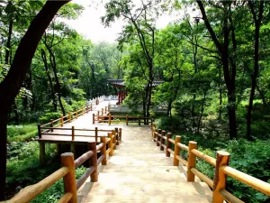 Mount Yimeng Tourism Area