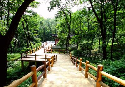 沂蒙山旅遊區沂山景區