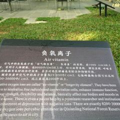 七仙嶺君瀾度假酒店7/5餐廳張用戶圖片