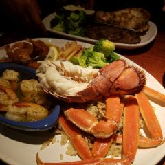 Red Lobster User Photo
