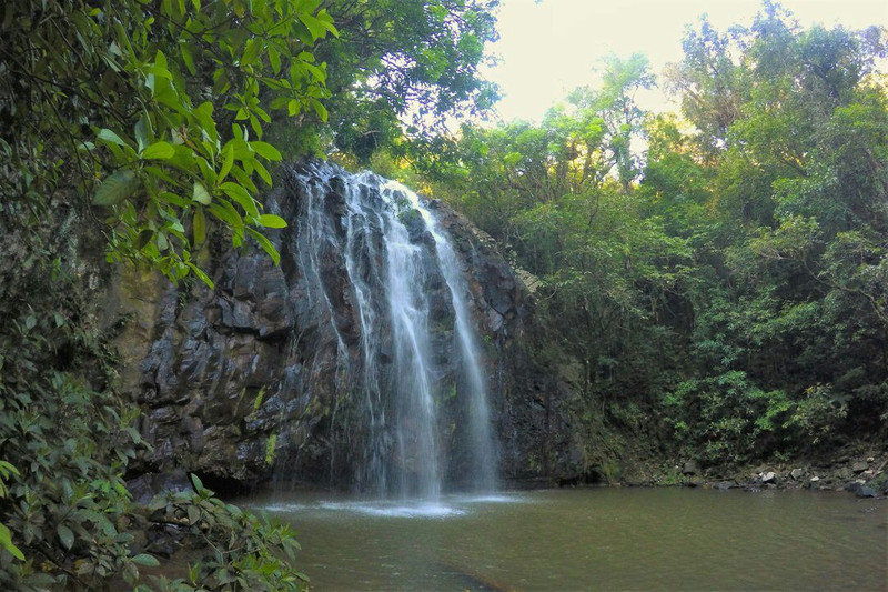 รีวิวที่เที่ยวMillaa Millaa Millaa Millaa Falls คู่มือท่องเที่ยวจาก