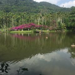 呀诺达药膳自助餐 User Photo