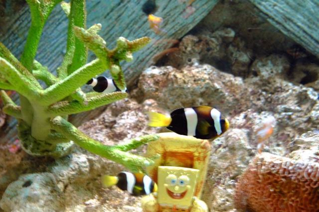 Changfeng Ocean World