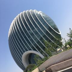 The Lounge 凯宾斯基酒店·大堂吧 User Photo