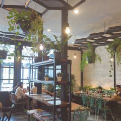 The Salad Concept User Photo