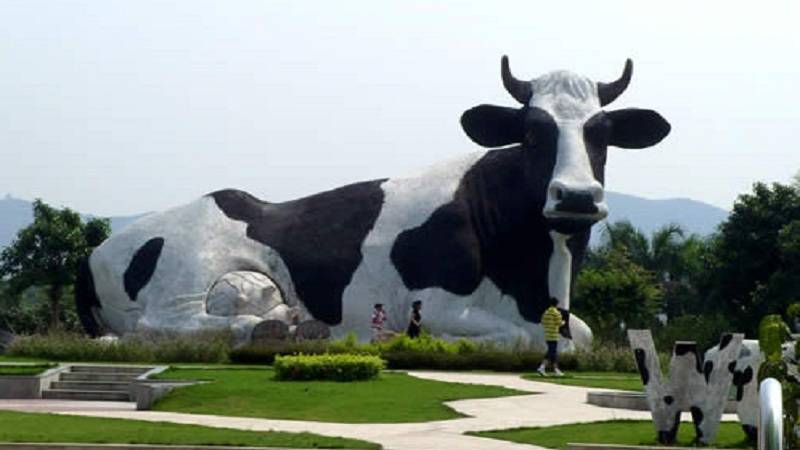 深圳光明農場大觀園+光明歡樂田園一日遊