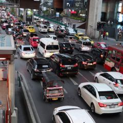 Mango Tango User Photo