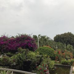 騰沖官房大飯店·陽溫暾自助餐廳張用戶圖片