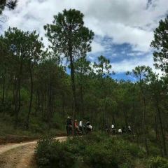 Lashihaichamagudao Grilled Fish User Photo