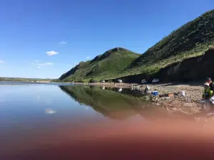 顺鑫渔园农家院