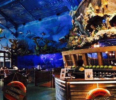 Uncle Buck's Fish Bowl and Grill