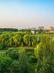 Xiliuhu Park (Northeast Gate)