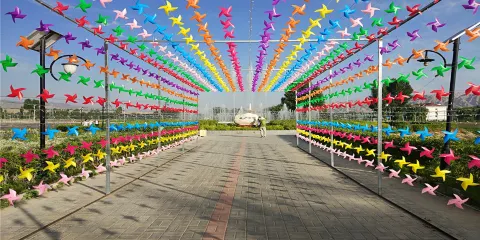 黃河少女薰衣草莊園