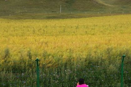 满堂香精品川菜