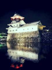 Toyama Castle