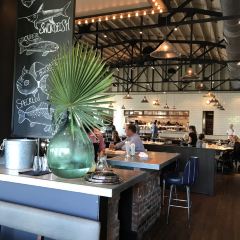 The Optimist張用戶圖片