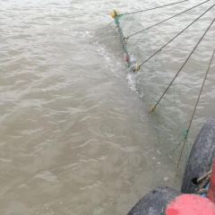 Sheng shan hai xian ting User Photo