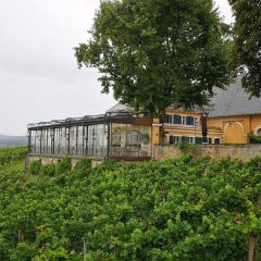 Schlossschaenke auf dem Johannisberg User Photo