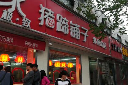 SHAO DONG GU ZHU TI PU ZI ZONG DIAN