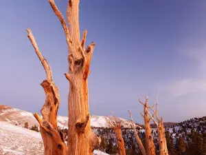 A XIANG MI XIAN PING HU DA RUN FA DIAN