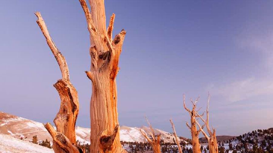 A XIANG MI XIAN PING HU DA RUN FA DIAN