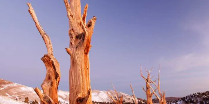 阿香米線(平湖大潤發店)