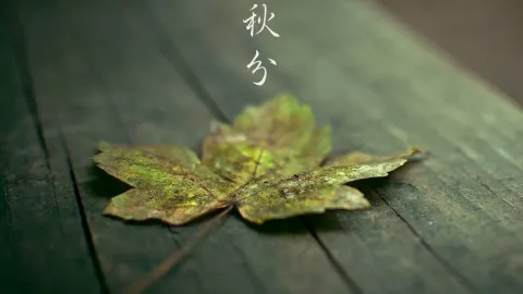 肯德基(安溪解放路店) in อันซี