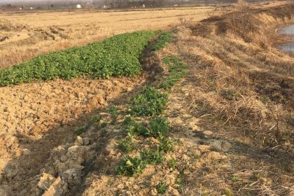 肯德基(全椒敬梓店)