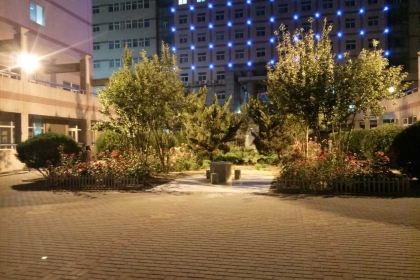 Pizza Hut (yuanyang)