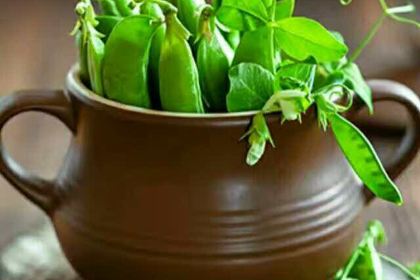 Yixiangyuanwaguan (hongzhuanlu)