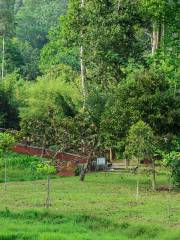 Penang Botanic Gardens