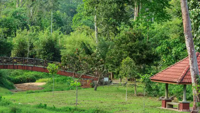 Hotels near Botanical Gardens Penang