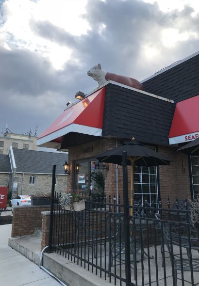 Tim Hortons and Cold Stone Creamery