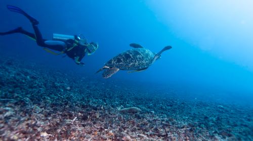 Gili Meno island