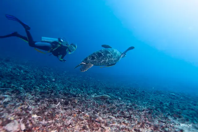 Diving in Lombok