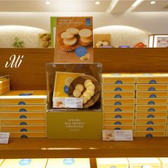 Letao Cheesecake Labo User Photo